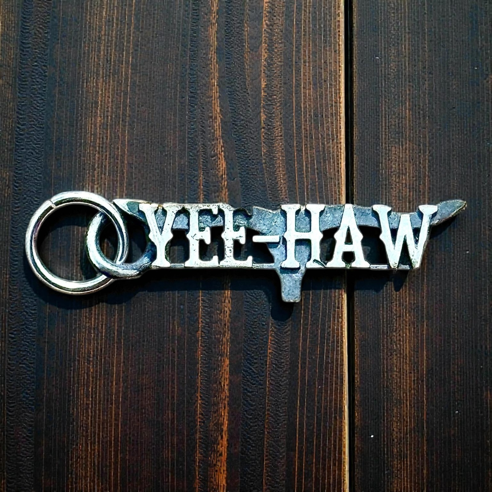 Spirit of the Longhorn Charm